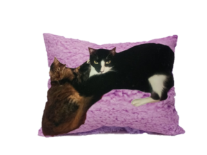 Cojín Personalizado con Diseño de Gatos