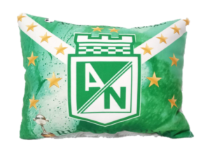 Cojín Atlético Nacional Verde y Blanco