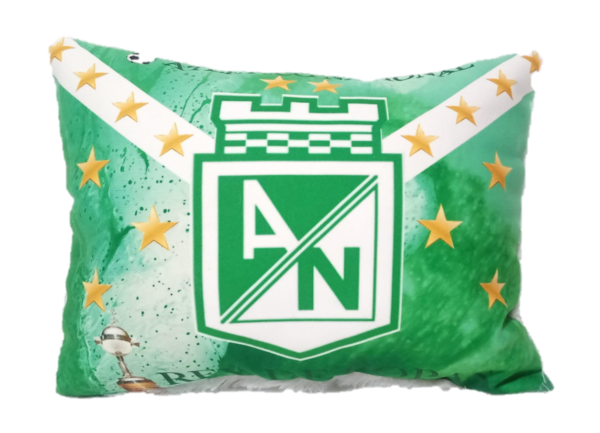 Cojín Atlético Nacional Verde y Blanco